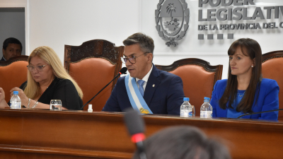 "Me gustaría que Capitanich sea diputado para que explique el desastre que dejó"