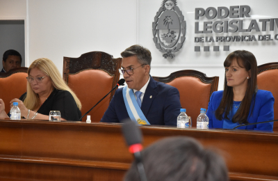 "Me gustaría que Capitanich sea diputado para que explique el desastre que dejó"