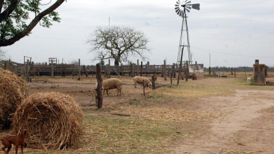 Las lluvias fueron escasas y la sequía se torna cada vez más preocupante