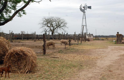 Las lluvias fueron escasas y la sequía se torna cada vez más preocupante