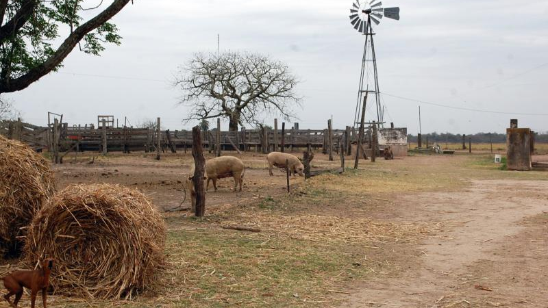 Las lluvias fueron escasas y la sequía se torna cada vez más preocupante