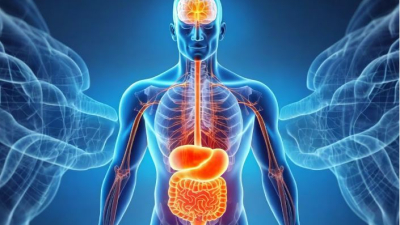 Expertos revelan mitos y verdades sobre el cáncer de colon, la enfermedad mortal que puede prevenirse