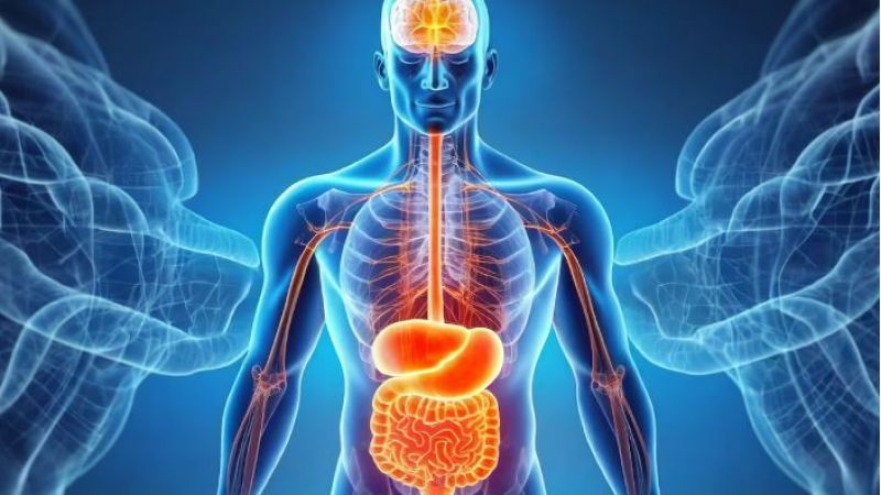 Expertos revelan mitos y verdades sobre el cáncer de colon, la enfermedad mortal que puede prevenirse