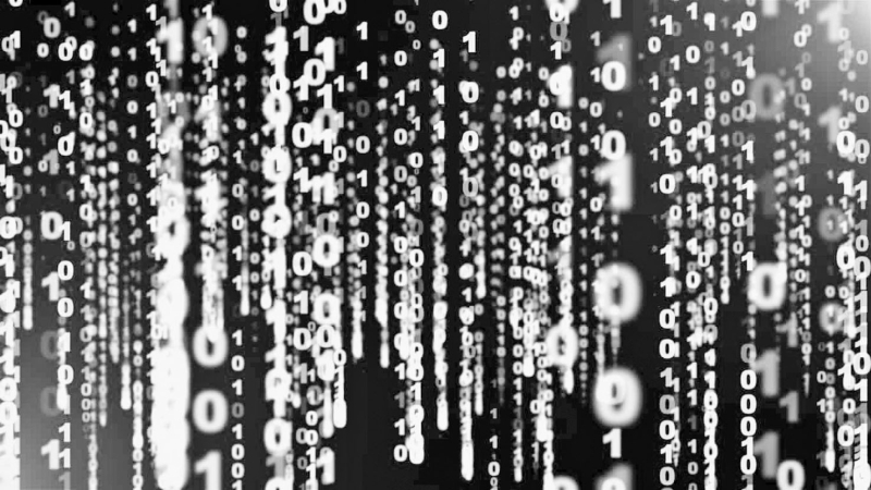 Escenarios y algoritmos