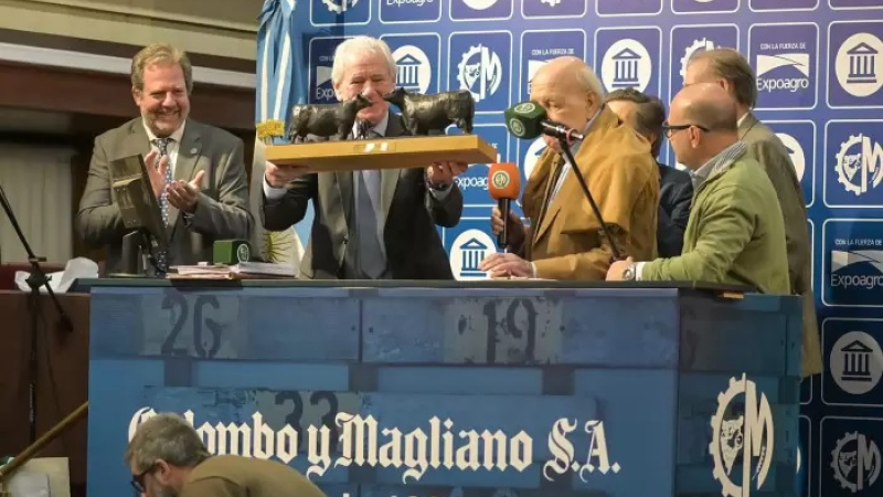 Histórico: se realizó el primer "Gran Remate" de hacienda en el Banco Nación