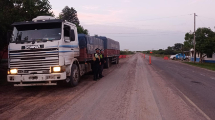 camion.jpg copy