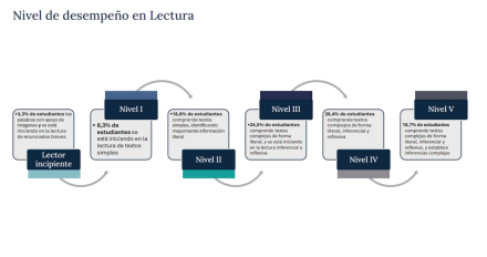 los-distintos-niveles-de-las-pru.jpg