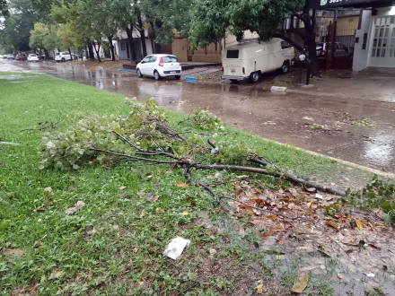 LLUVIA 5.JPG