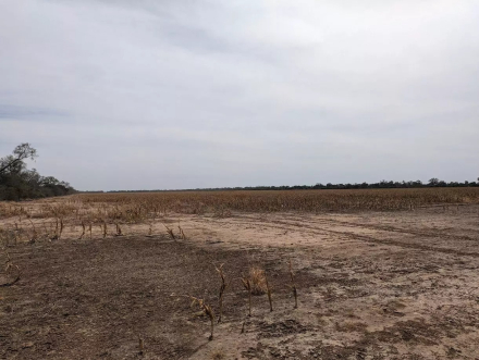 cresud - santander 05.jpg