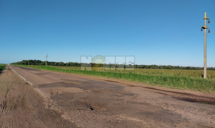 RN89.JPG