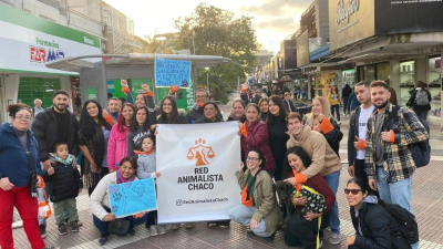 La Red Animalista Chaco vuelve a impulsar su campaña para reunir firmas