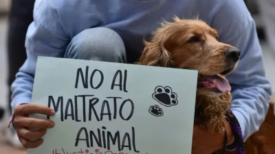 Juntarán firmas por una Ley de Esterilizaciones y contra el maltrato animal