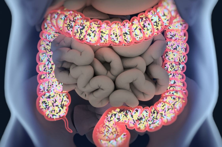 microbiota.jpg