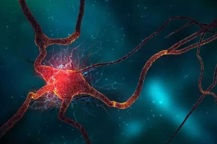 neuronas.jpg