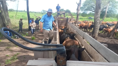 El abigeato, una amenaza para el desarrollo ganadero