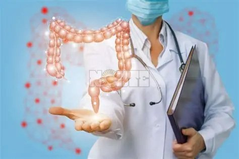intestino2.jpg