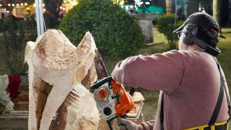 "El arte nos abraza": San Martín vive el Certamen Nacional de Esculturas en Madera