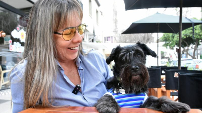 Organizan una fiesta temática para perritos a beneficio de protectoras