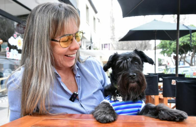 Organizan una fiesta temática para perritos a beneficio de protectoras