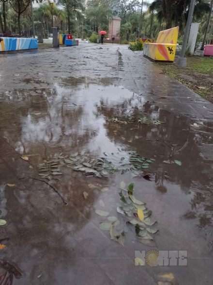 lluvia5.jpg