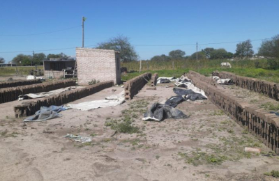 "La situación de los ladrilleros en la provincia es crítica"