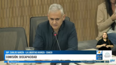 Picante cruce entre diputados chaqueños en la Comisión de Discapacidad