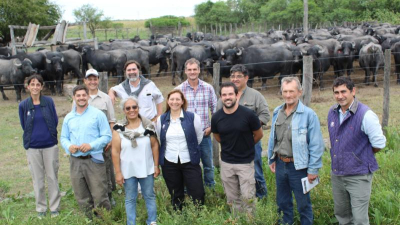 El búfalo, una opción que atrae cada vez más a los ganaderos de la región