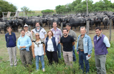 El búfalo, una opción que atrae cada vez más a los ganaderos de la región