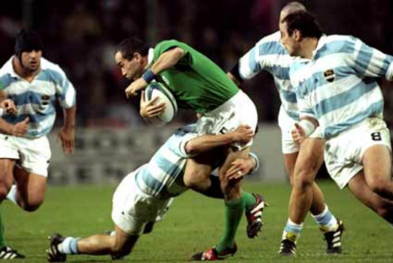 los pumas 3.jpg