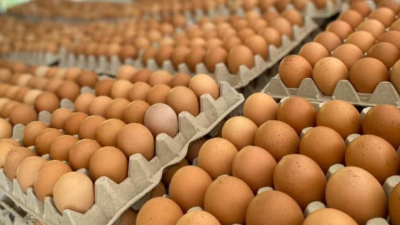 Se quedó sin la omelette: lo atraparon robando seis maples de huevo