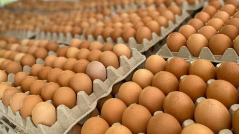 Se quedó sin la omelette: lo atraparon robando seis maples de huevo