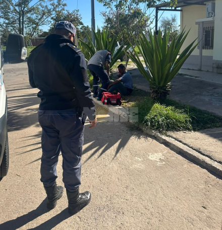 lesionado dos .jpg