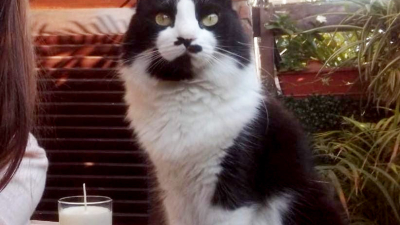 Se busca a Benito