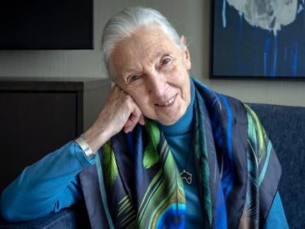 JAneGoodall01.jpg
