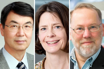 sakaguchi-brunkow-ramsdell.jpg