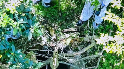 El femicidio de Daiana Mendieta: quién es el principal sospechoso