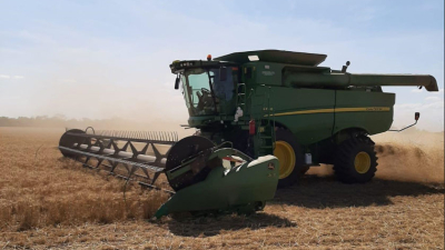 El trigo y el girasol son un paliativo ante el quebranto financiero del productor