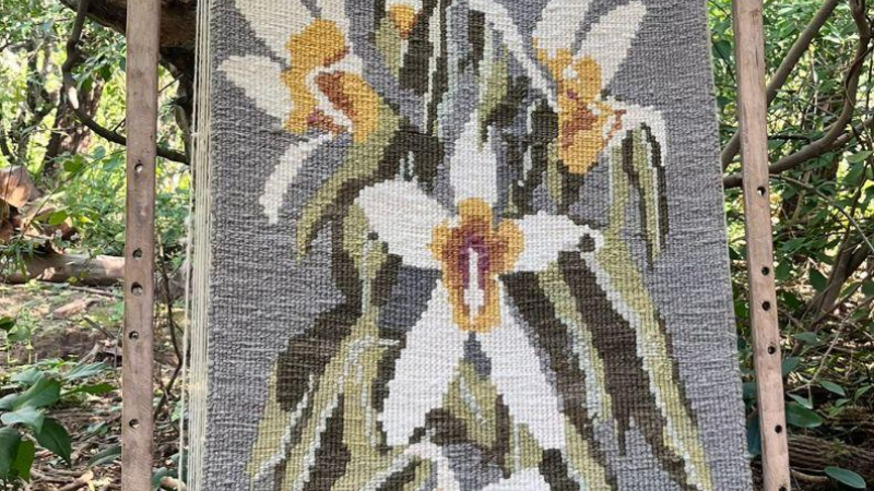 "Colores del Desmonte", la obra de artesanas de El Impenetrable que se lució en México