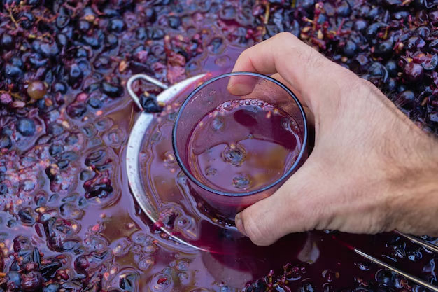 vino2.jpg
