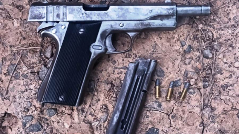 Operativo Lince: un arma sin papeles plantas de marihuana y tres detenidos en pocos minutos
