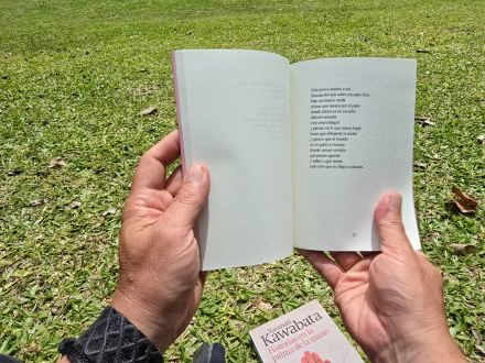lecturas0004.jpg