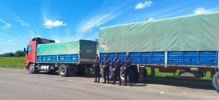 WhatsApp Image 2025-11-10 at 10.11.03.jpeg