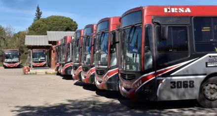 Colectivos.jpg
