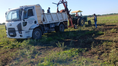 Impactante: un rayo mató a 31 novillos vacunos en un campo del sudoeste