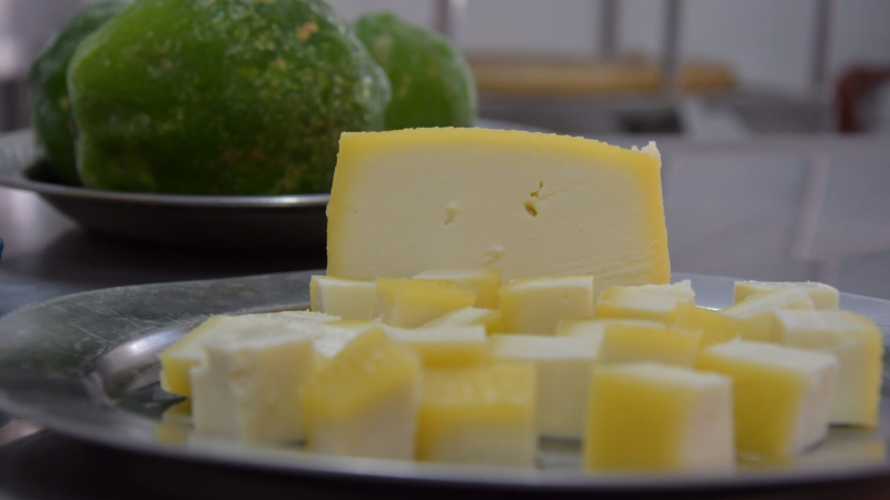 La Facultad de Veterinaria de la UNNE desarrolla un queso coagulado con la cáscara del mamón