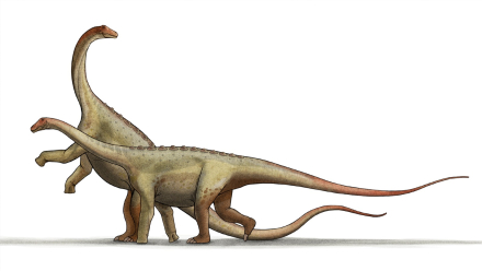 titanosaurio 1.jpeg