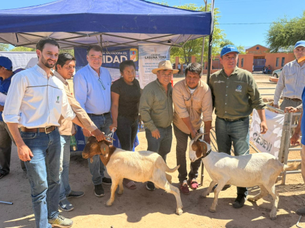 El PAIPPA entregó reproductores caprinos a productores paipperos del oeste formoseño-.jpg