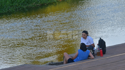 El viento sur traerá alivio al calor en el Chaco: leve descenso térmico durante el fin de semana