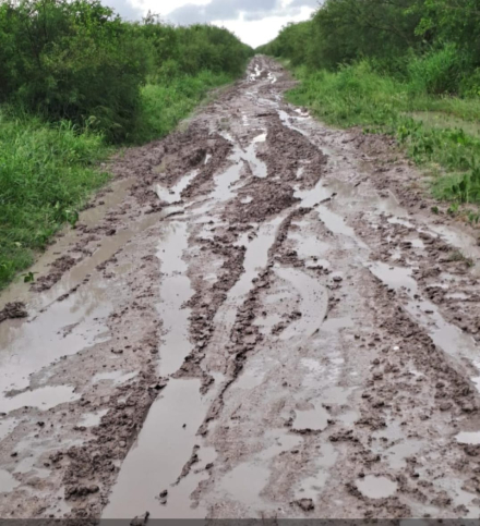 caminos.jpg