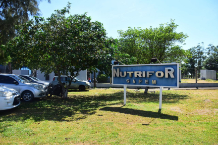 Nutrifor sin marca_.jpeg